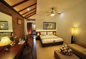 Room in Ayurveda Resort